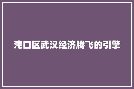沌口区武汉经济腾飞的引擎 沌口区武汉经济腾飞的引擎