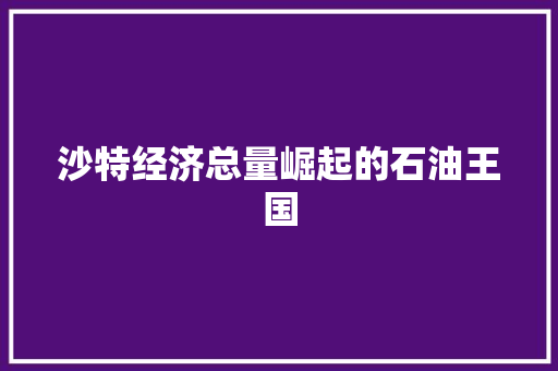 沙特经济总量崛起的石油王国 沙特经济总量崛起的石油王国