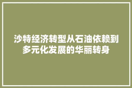 沙特经济转型从石油依赖到多元化发展的华丽转身 沙特经济转型从石油依赖到多元化发展的华丽转身