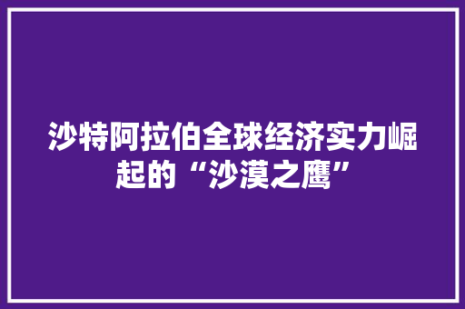 沙特阿拉伯全球经济实力崛起的“沙漠之鹰” 沙特阿拉伯全球经济实力崛起的“沙漠之鹰”