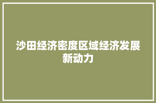 沙田经济密度区域经济发展新动力 沙田经济密度区域经济发展新动力
