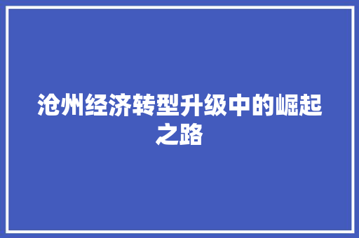 沧州经济转型升级中的崛起之路 沧州经济转型升级中的崛起之路