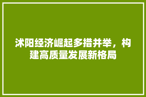 沭阳经济崛起多措并举,构建高质量发展新格局 沭阳经济崛起多措并举,构建高质量发展新格局