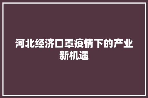 河北经济口罩疫情下的产业新机遇
