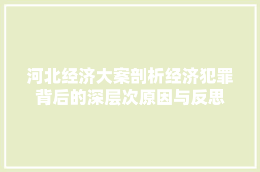 河北经济大案剖析经济犯罪背后的深层次原因与反思