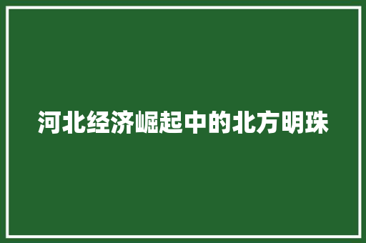 河北经济崛起中的北方明珠 河北经济崛起中的北方明珠