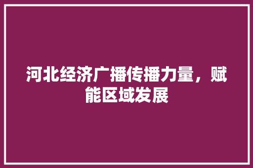 河北经济广播传播力量,赋能区域发展 河北经济广播传播力量,赋能区域发展