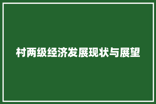 村两级经济发展现状与展望 村两级经济发展现状与展望