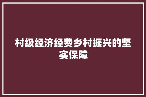 村级经济经费乡村振兴的坚实保障 村级经济经费乡村振兴的坚实保障