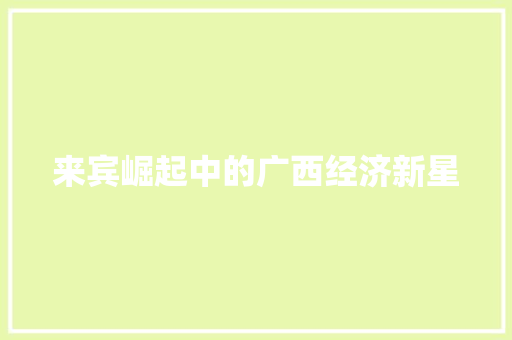 来宾崛起中的广西经济新星 来宾崛起中的广西经济新星