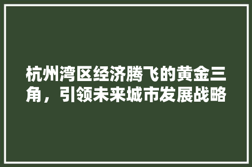 杭州湾区经济腾飞的黄金三角,引领未来城市发展战略 杭州湾区经济腾飞的黄金三角,引领未来城市发展战略