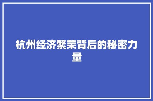 杭州经济繁荣背后的秘密力量 杭州经济繁荣背后的秘密力量