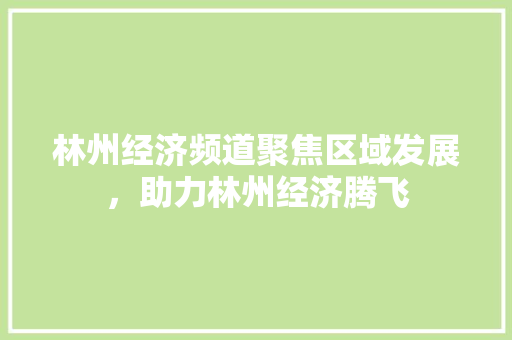 林州经济频道聚焦区域发展,助力林州经济腾飞 林州经济频道聚焦区域发展,助力林州经济腾飞