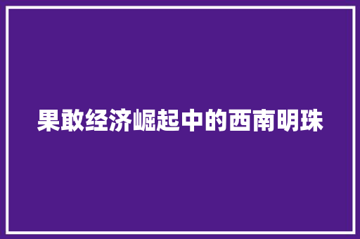果敢经济崛起中的西南明珠 果敢经济崛起中的西南明珠