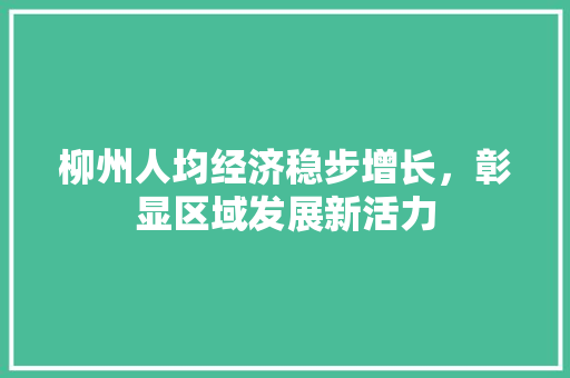 柳州人均经济稳步增长,彰显区域发展新活力 柳州人均经济稳步增长,彰显区域发展新活力