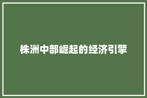 株洲中部崛起的经济引擎 株洲中部崛起的经济引擎