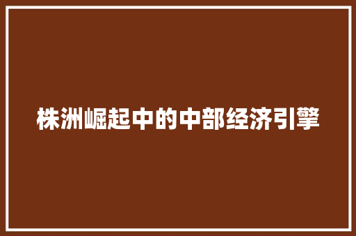 株洲崛起中的中部经济引擎 株洲崛起中的中部经济引擎