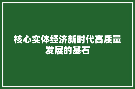 核心实体经济新时代高质量发展的基石 核心实体经济新时代高质量发展的基石