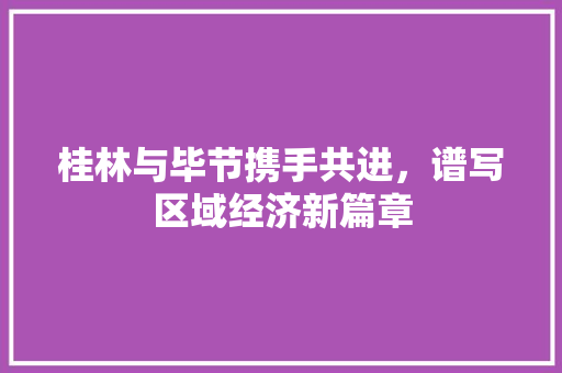 桂林与毕节携手共进,谱写区域经济新篇章 桂林与毕节携手共进,谱写区域经济新篇章
