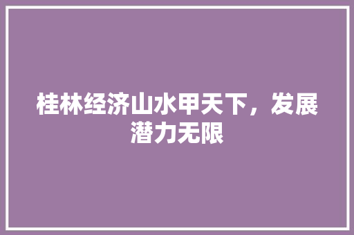 桂林经济山水甲天下,发展潜力无限 桂林经济山水甲天下,发展潜力无限