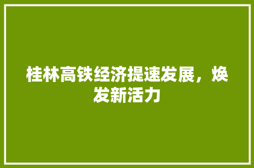 桂林高铁经济提速发展,焕发新活力 桂林高铁经济提速发展,焕发新活力