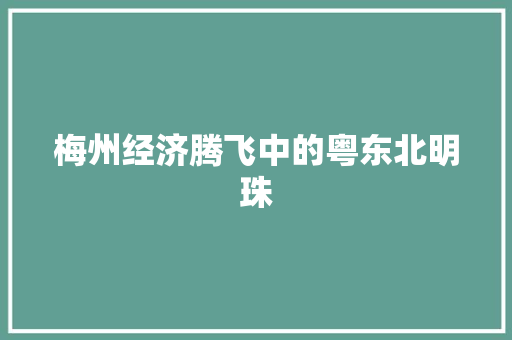 梅州经济腾飞中的粤东北明珠 梅州经济腾飞中的粤东北明珠