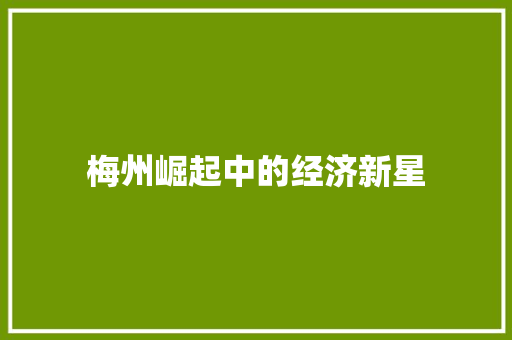 梅州崛起中的经济新星