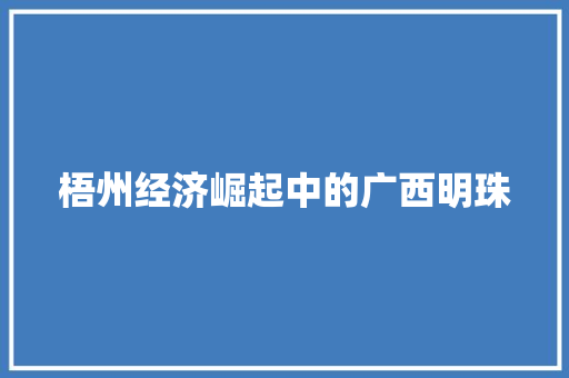 梧州经济崛起中的广西明珠 梧州经济崛起中的广西明珠