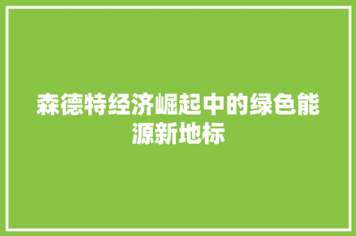 森德特经济崛起中的绿色能源新地标 森德特经济崛起中的绿色能源新地标