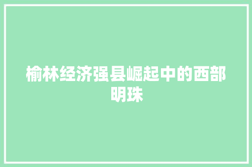 榆林经济强县崛起中的西部明珠 榆林经济强县崛起中的西部明珠