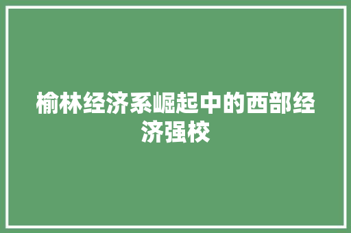 榆林经济系崛起中的西部经济强校 榆林经济系崛起中的西部经济强校