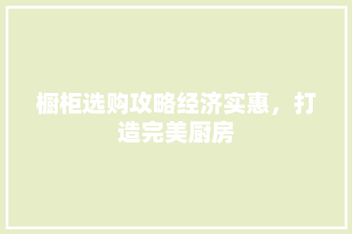 橱柜选购攻略经济实惠,打造完美厨房 橱柜选购攻略经济实惠,打造完美厨房