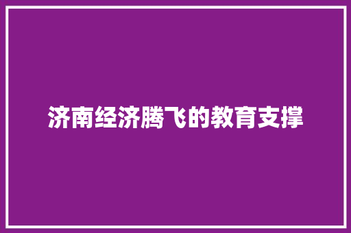 济南经济腾飞的教育支撑 济南经济腾飞的教育支撑