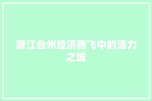 浙江台州经济腾飞中的活力之城 浙江台州经济腾飞中的活力之城