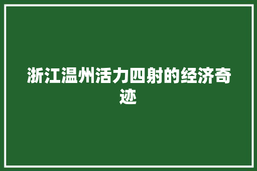 浙江温州活力四射的经济奇迹 浙江温州活力四射的经济奇迹