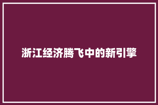 浙江经济腾飞中的新引擎 浙江经济腾飞中的新引擎