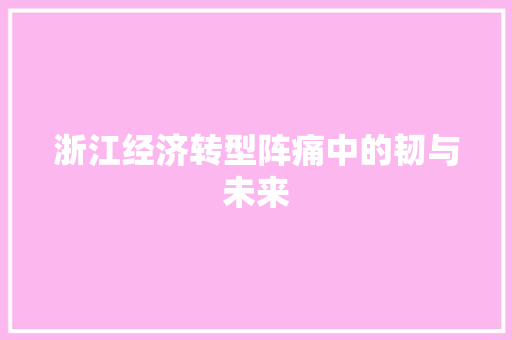浙江经济转型阵痛中的韧与未来 浙江经济转型阵痛中的韧与未来