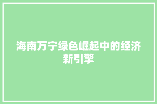 海南万宁绿色崛起中的经济新引擎 海南万宁绿色崛起中的经济新引擎