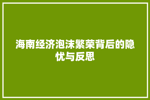 海南经济泡沫繁荣背后的隐忧与反思 海南经济泡沫繁荣背后的隐忧与反思