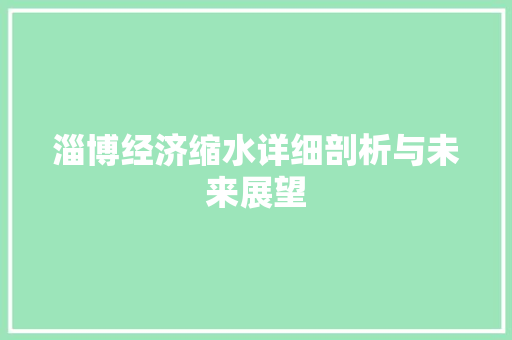 淄博经济缩水详细剖析与未来展望 淄博经济缩水详细剖析与未来展望