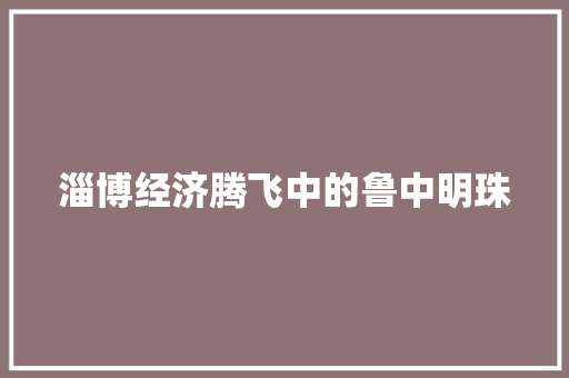 淄博经济腾飞中的鲁中明珠 淄博经济腾飞中的鲁中明珠