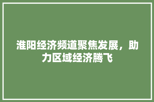 淮阳经济频道聚焦发展,助力区域经济腾飞 淮阳经济频道聚焦发展,助力区域经济腾飞