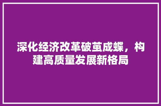 深化经济改革破茧成蝶,构建高质量发展新格局 深化经济改革破茧成蝶,构建高质量发展新格局