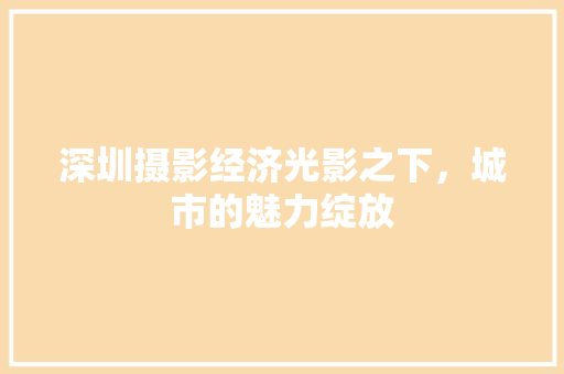 深圳摄影经济光影之下,城市的魅力绽放 深圳摄影经济光影之下,城市的魅力绽放