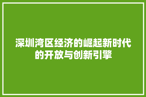 深圳湾区经济的崛起新时代的开放与创新引擎 深圳湾区经济的崛起新时代的开放与创新引擎