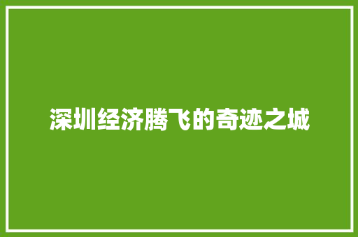 深圳经济腾飞的奇迹之城 深圳经济腾飞的奇迹之城