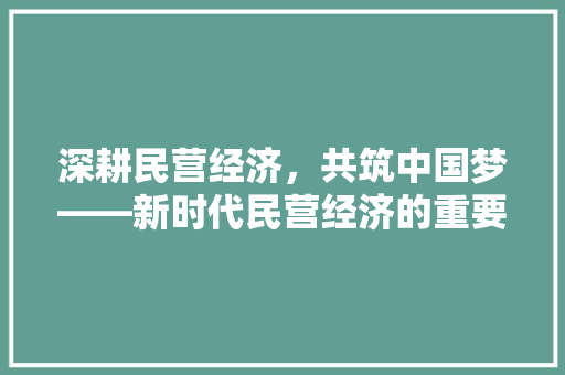 深耕民营经济,共筑中国梦——新时代民营经济的重要地位与发展步骤 深耕民营经济,共筑中国梦——新时代民营经济的重要地位与发展步骤