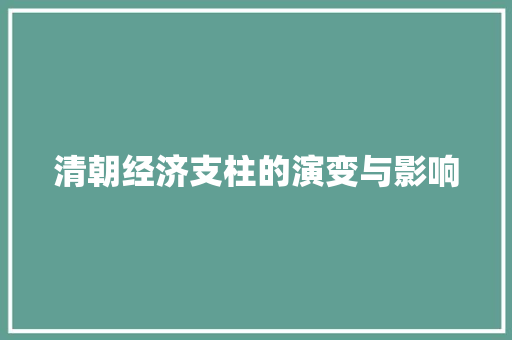清朝经济支柱的演变与影响 清朝经济支柱的演变与影响