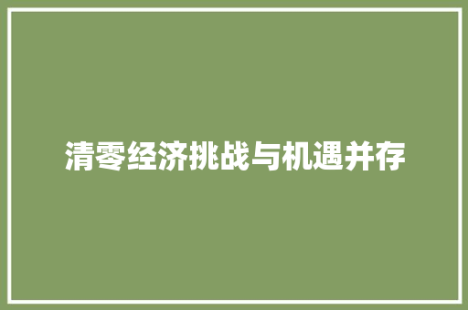 清零经济挑战与机遇并存 清零经济挑战与机遇并存