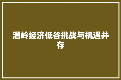 温岭经济低谷挑战与机遇并存 温岭经济低谷挑战与机遇并存